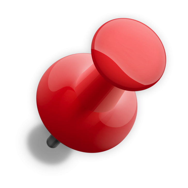 pin icon